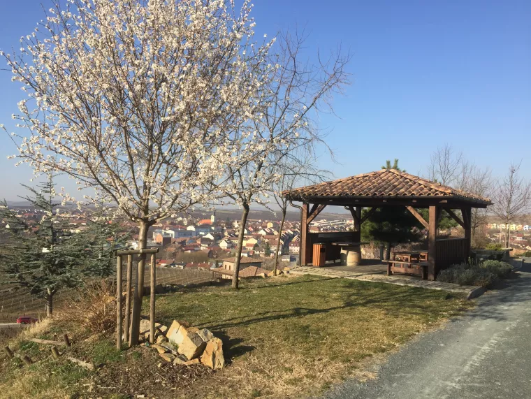 Prezentace služby PPS klientům CE.ENERGY - Velké Pavlovice