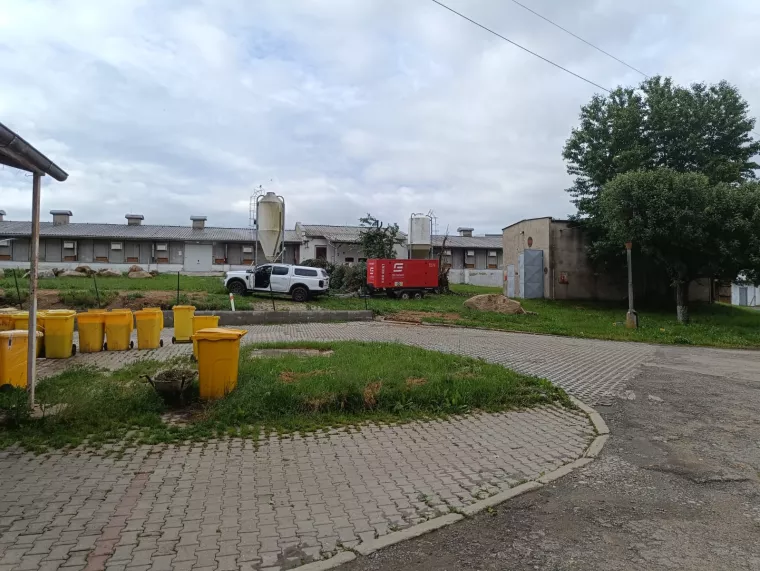 Zbytečná smrt kvůli několika stokorunám!