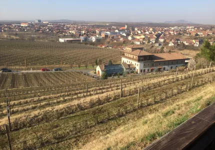 Prezentace služby PPS klientům CE.ENERGY - Velké Pavlovice